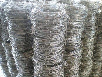 刺绳护栏网图片4