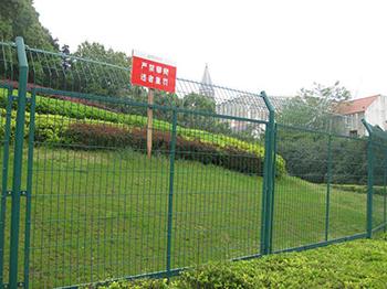 果园护栏网图片4