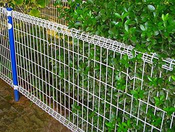 双圈护栏网