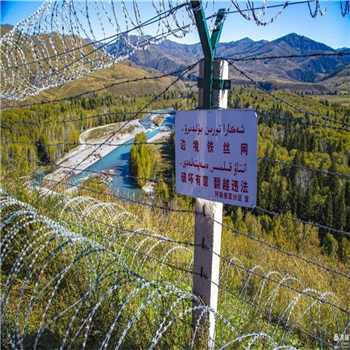 刀刺滚笼/刀片刺绳图片3