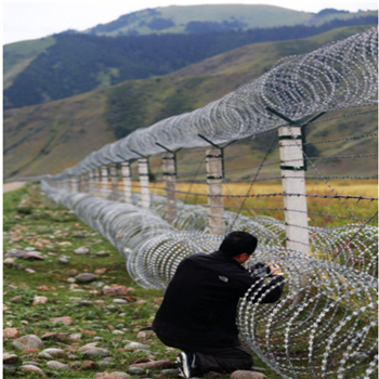 刀刺滚笼/刀片刺绳图片4